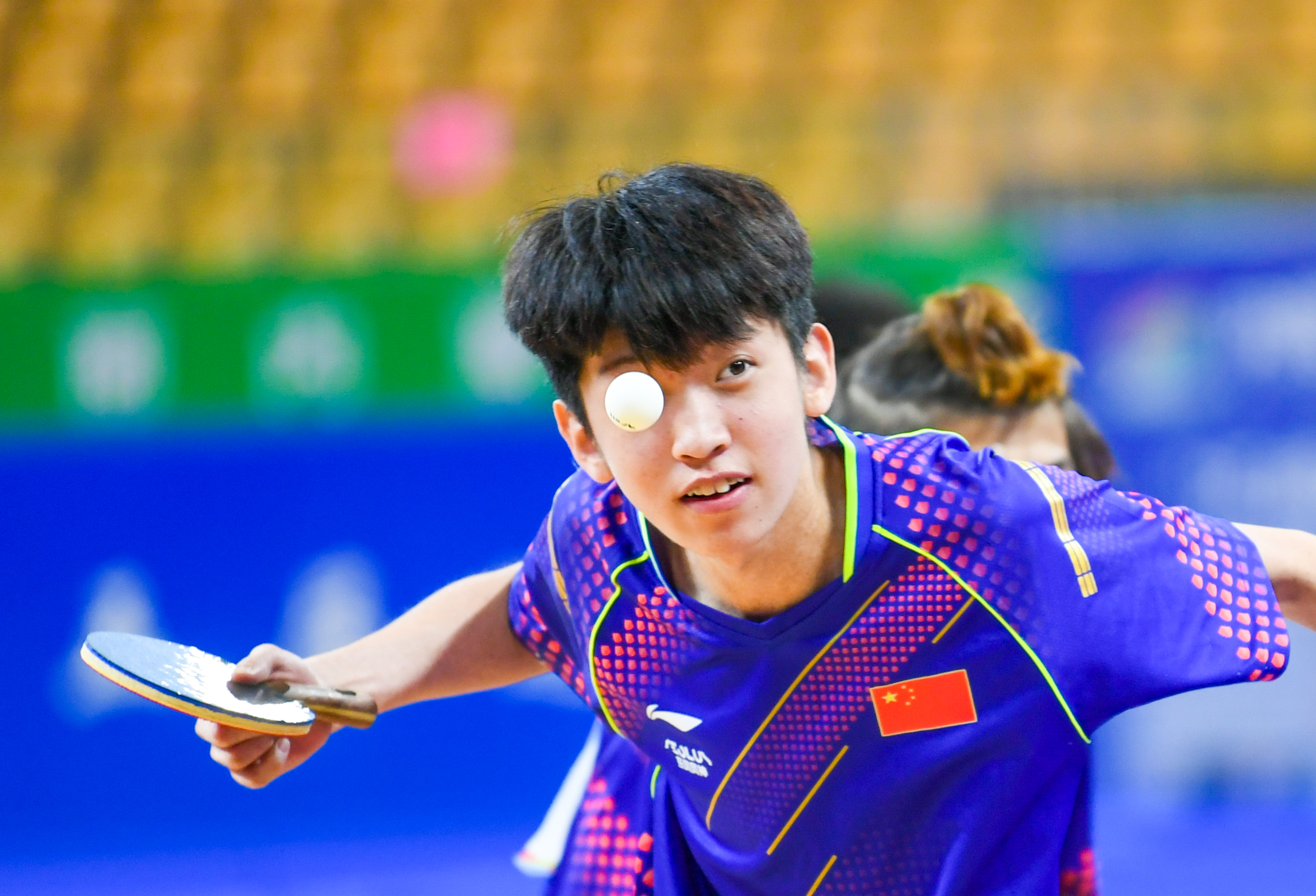 乒乓球赛事精彩瞬间盘点，年度回顾震撼登场的简单介绍