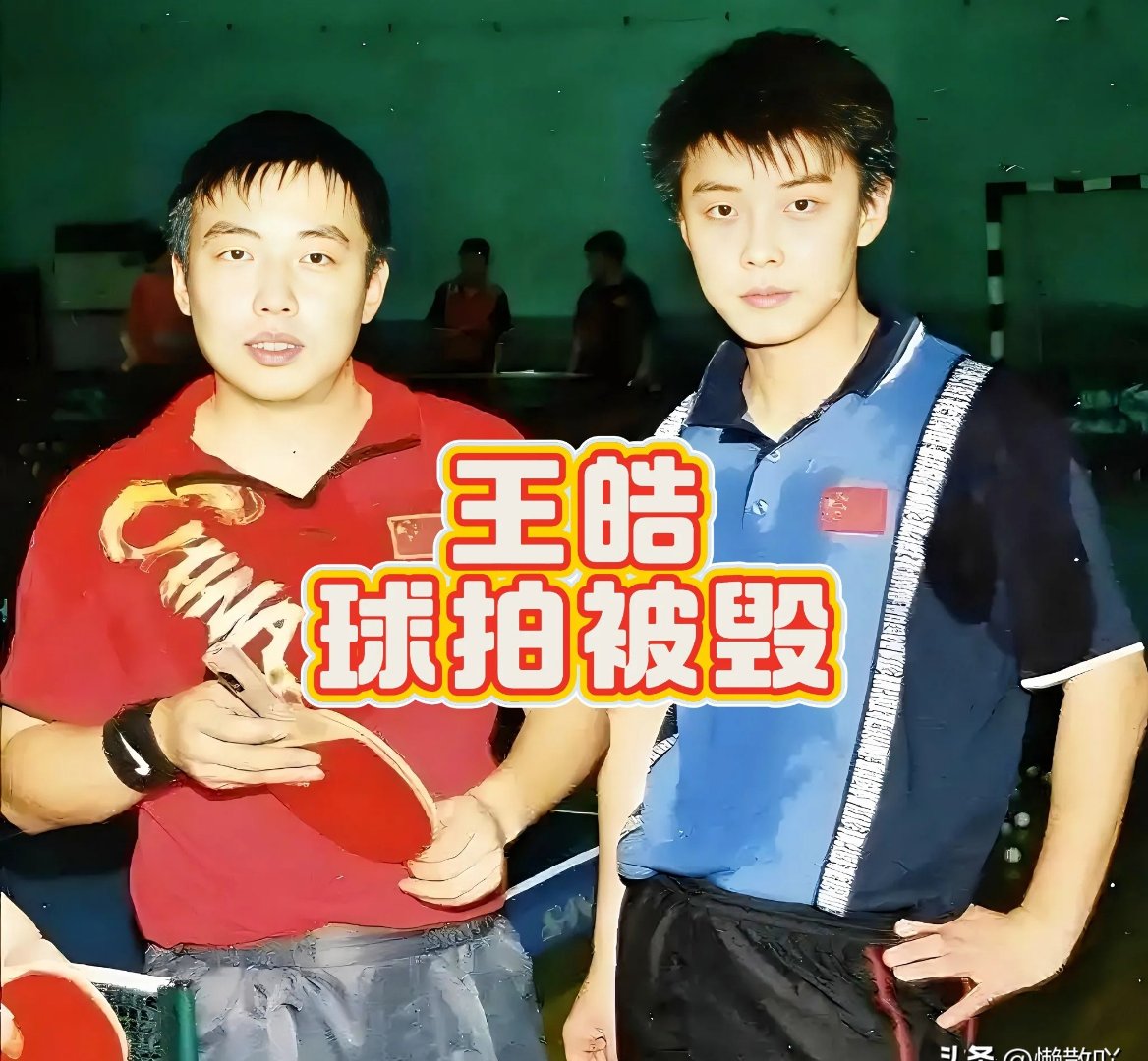 波兰队力克日本队，王皓点燃赛场
