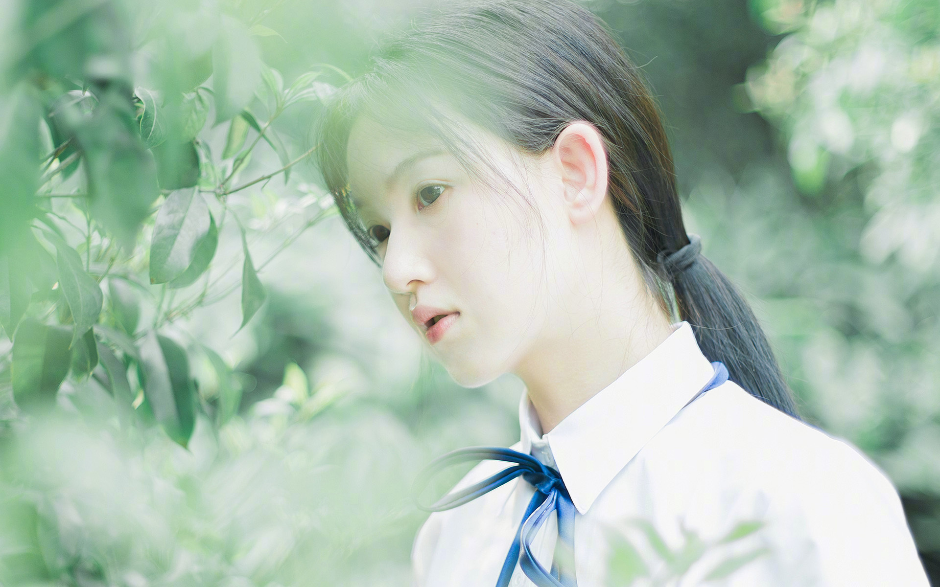 绞索美学，辽宁队如何将全面压制编织成唯一艺术