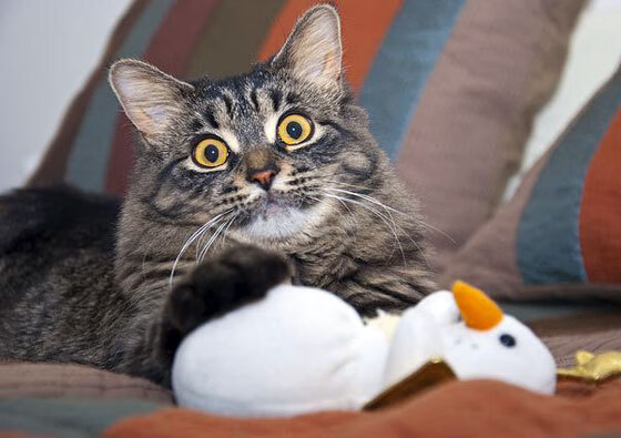 决胜时刻，当魔术不再是戏法，克莱一箭穿心