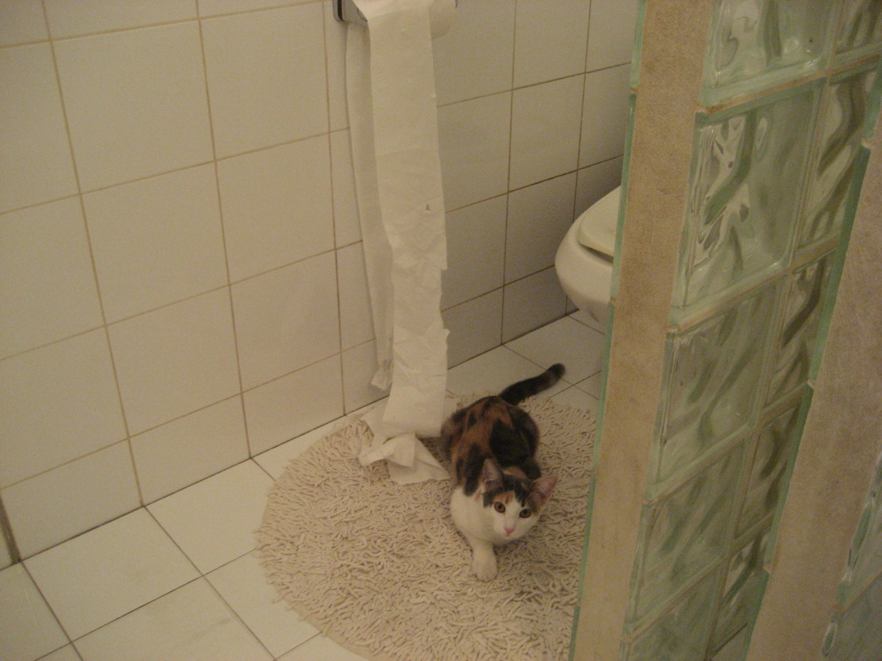 改写历史的羊驼风暴，迪马利亚独闯龙潭，玻利维亚粉碎葡萄牙神话