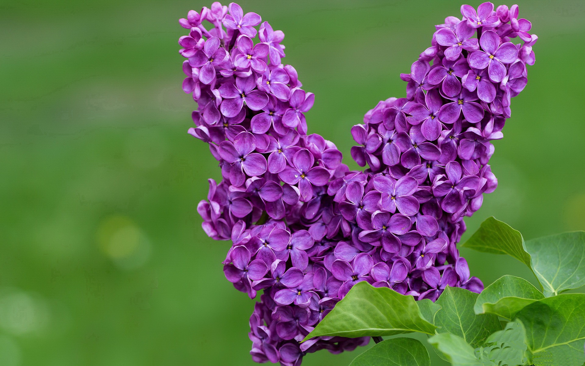 冰川巨人VS精密钟表,挪威强压瑞士背后的足球哲学碰撞