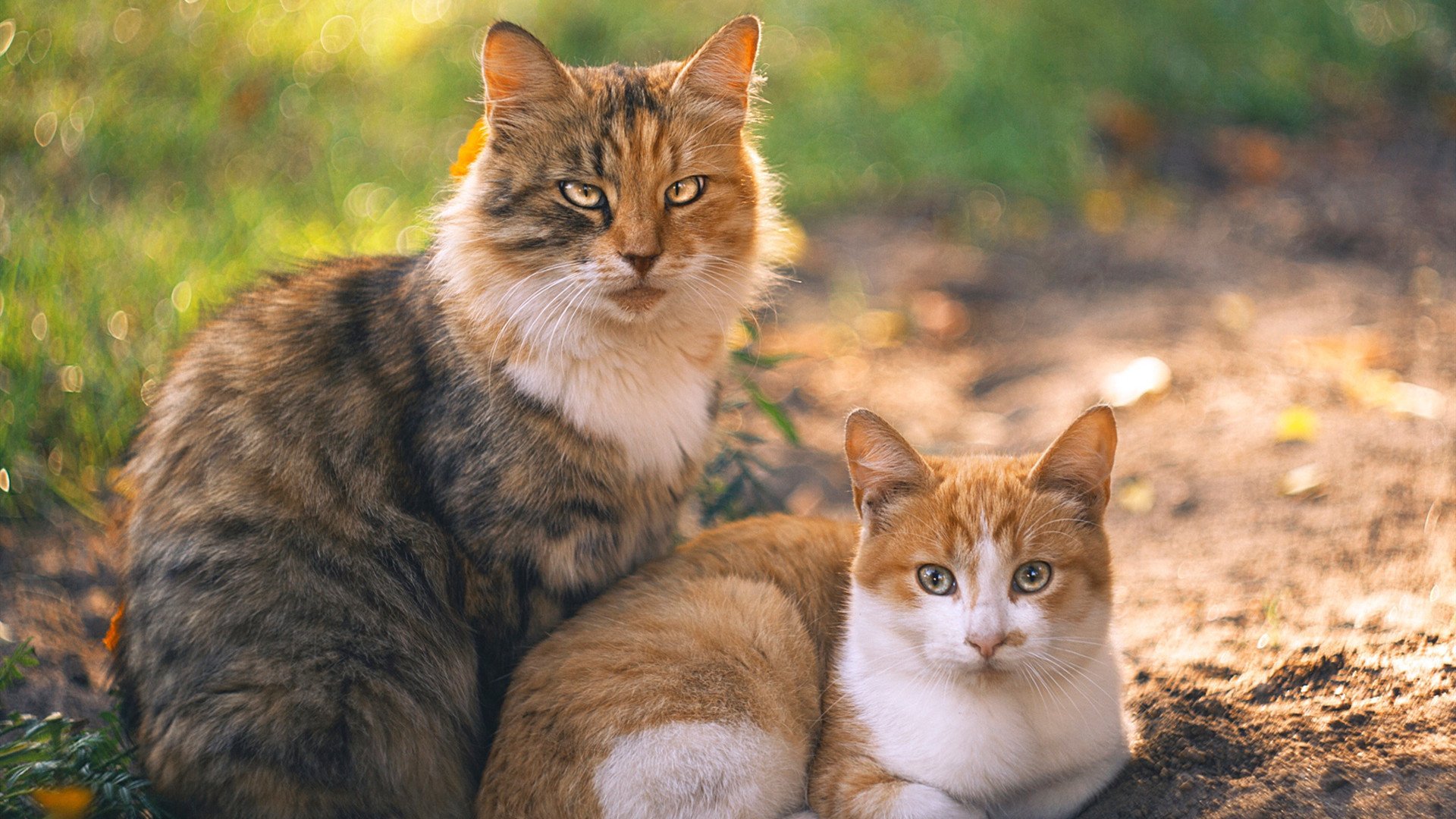 中距离死亡艺术家与密尔沃基巨兽，当德罗赞无解单打遭遇雄鹿的血脉压制