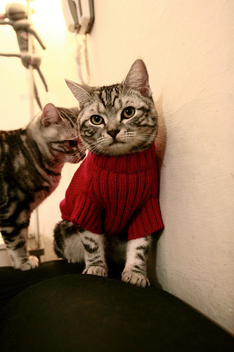 逆羽斩断宏远王朝,贝恩爆发的夜晚,老鹰队如何完成关键战史诗突围