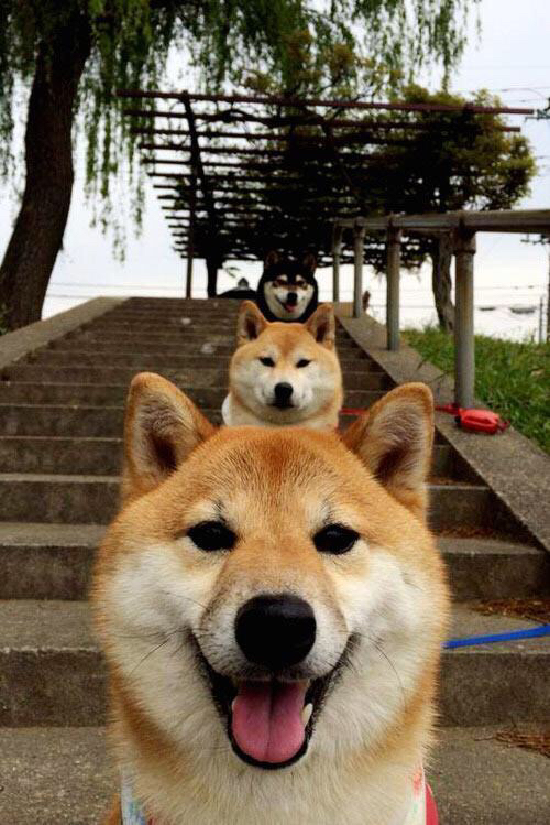 火力全开!老鹰展翅灼伤太阳,切特一锤定音