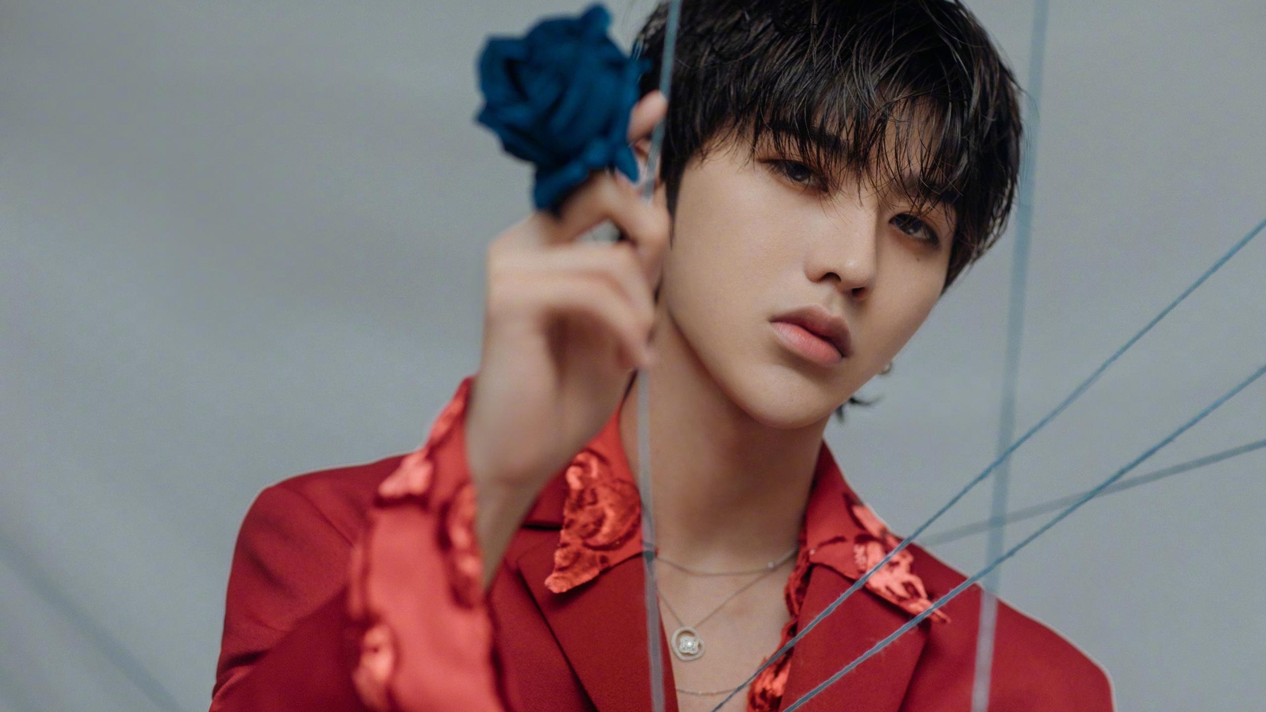 跨洋大乱斗，鹈鹕全明星队空降美加墨，辽宁男篮遭遇史上最离谱陪练？