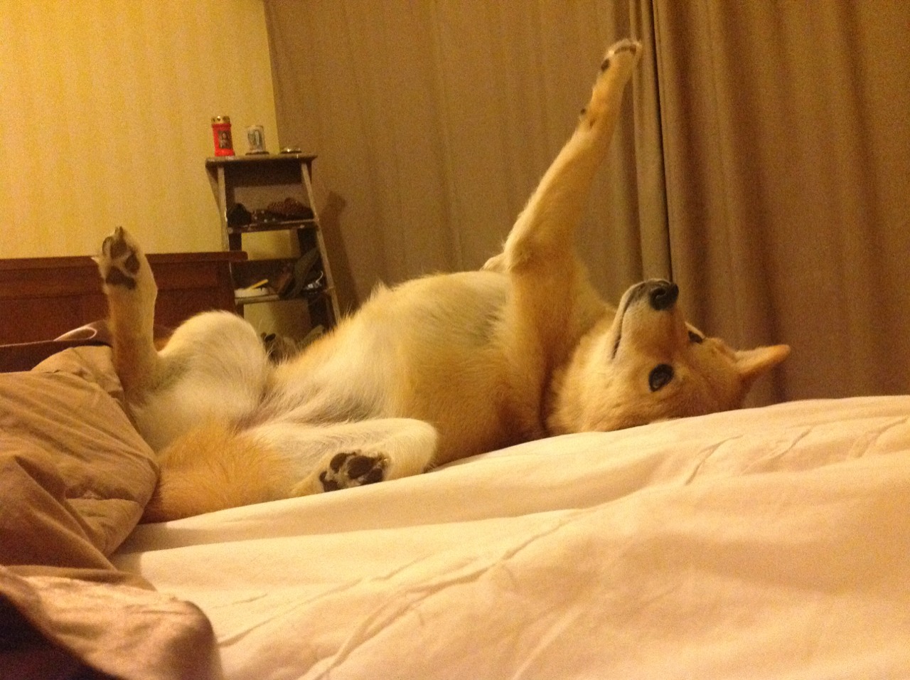 璀璨之战，欧文主宰尼克斯与太阳巅峰对决