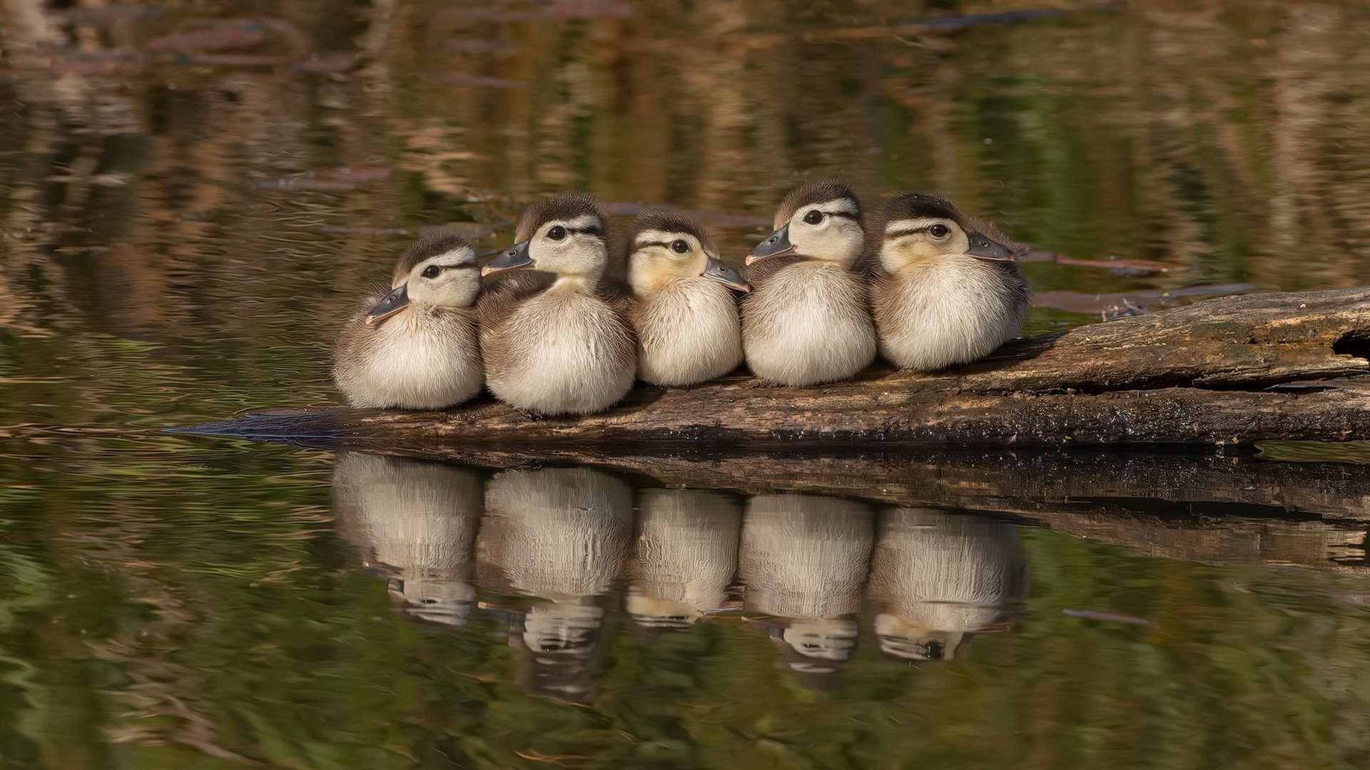 当梅西们谢幕,新的守护神在黑暗中独自闪光