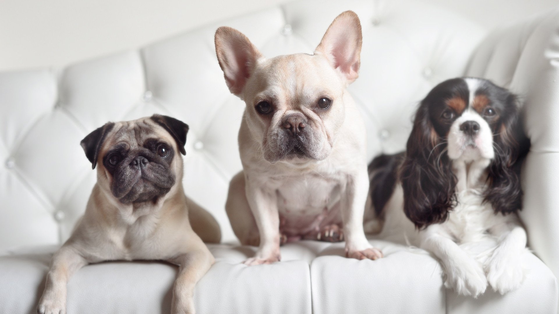 精密如钟表的战术手术，布鲁诺一传一射扼杀喀麦隆奥运希望