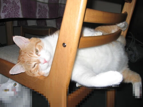 终场哨为天使而鸣，迪马利亚制胜一击助哥伦比亚力克巴西