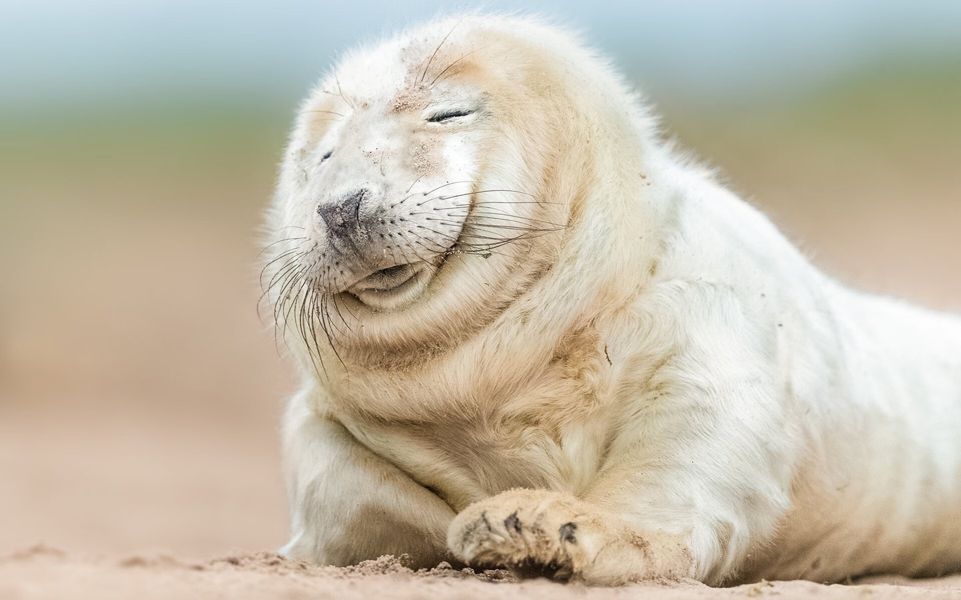 浙江队客场粉碎对手不败金身,福克斯统治级表现改写战局