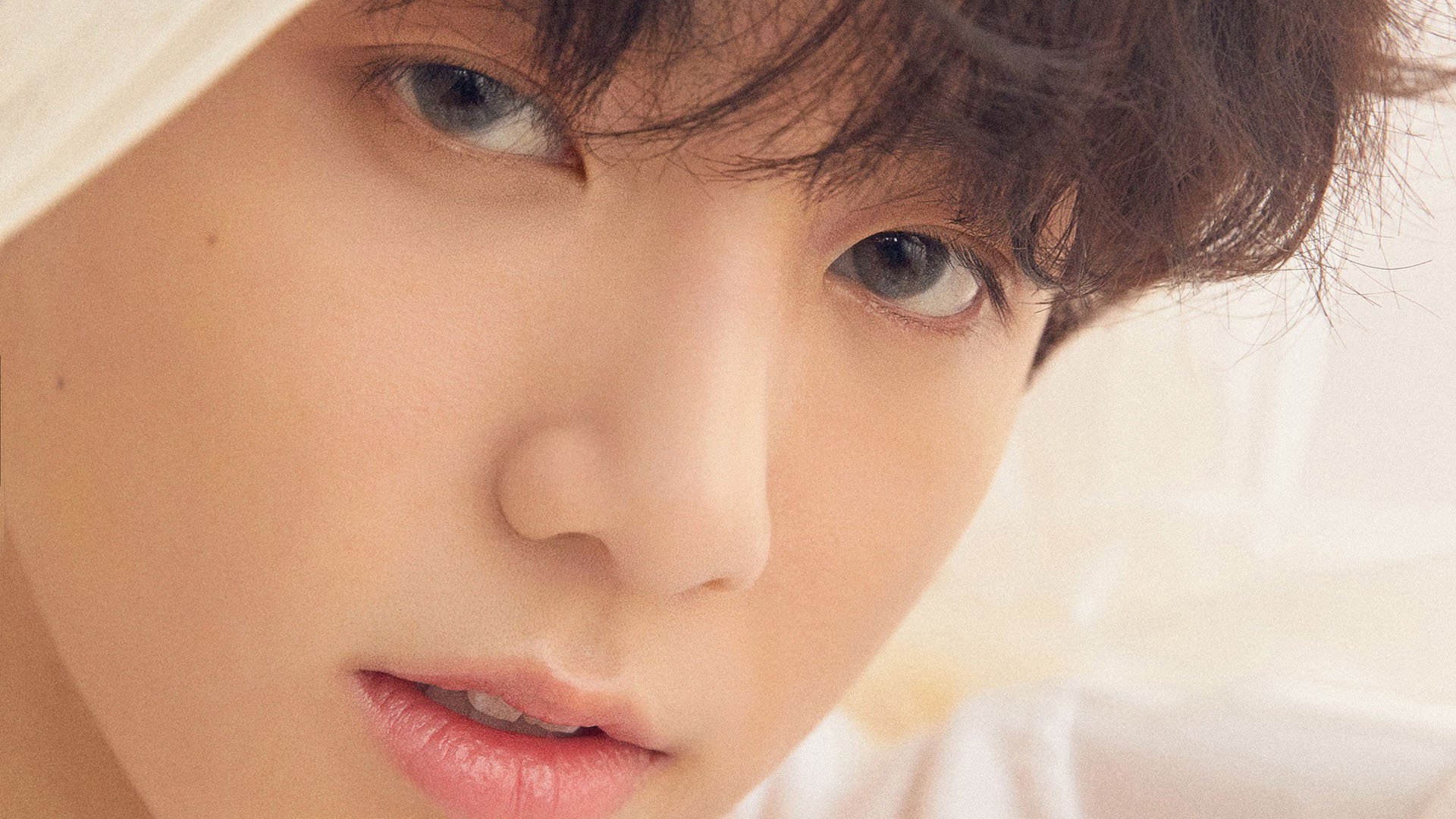 当荷法足球智慧交汇,解码马赛如何为加克波铺就统治级数据之路