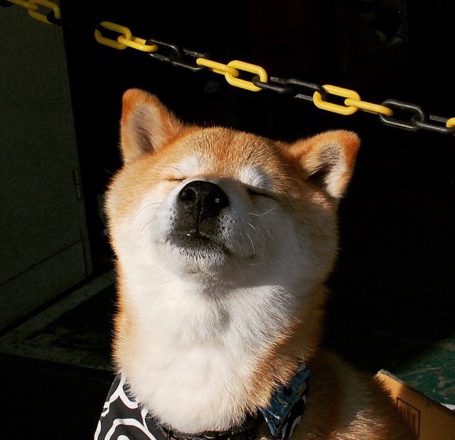 死神来了,当字母哥踩碎地板,整个NBA听见断裂声