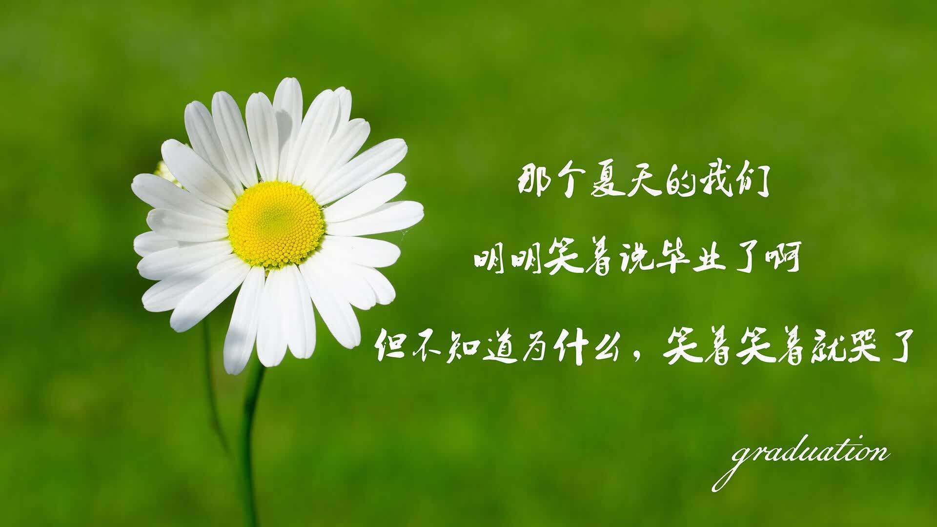 最昂贵的孤独,凯塞多数据爆炸夜,照亮切尔西的争冠余晖