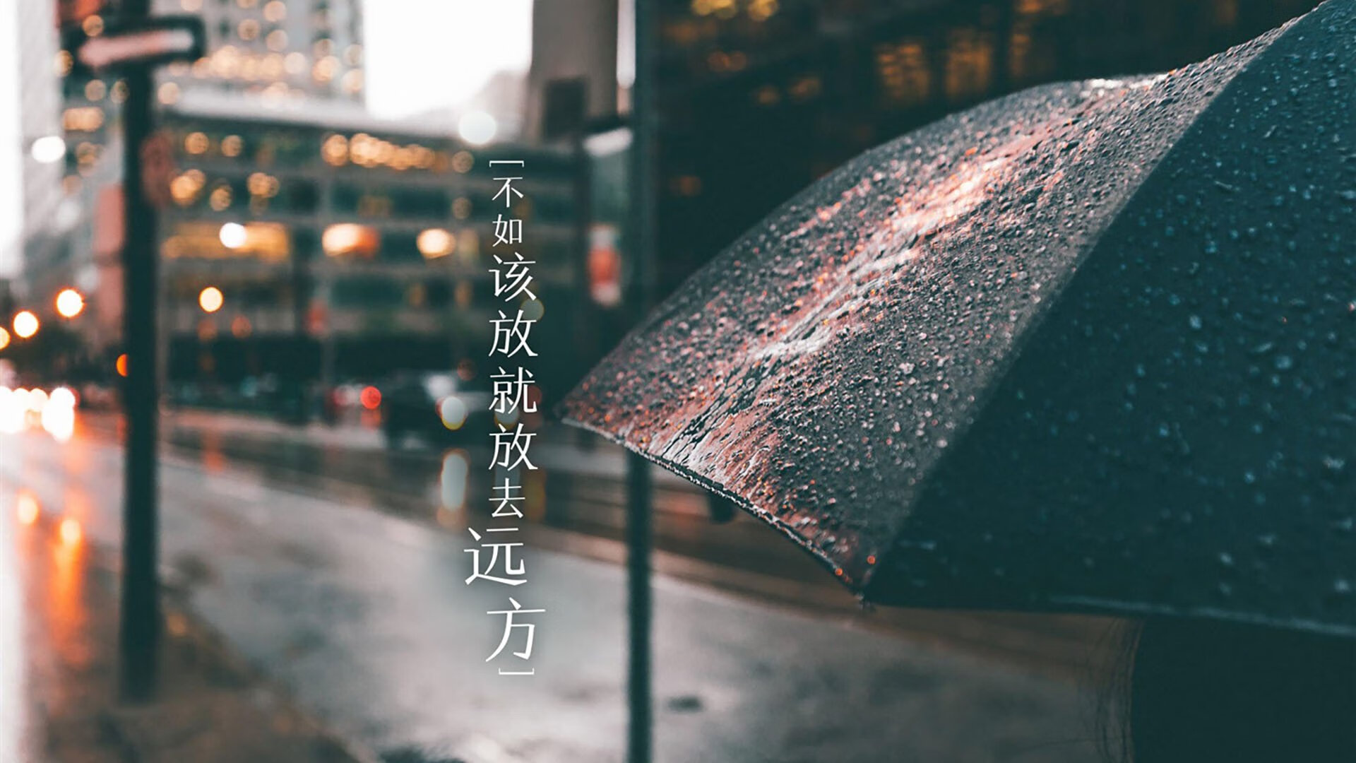 绿茵场的艺术,赛道上的速度,双重奏中的胜利法则